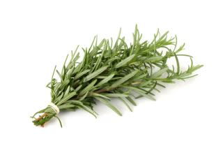 Rosemary